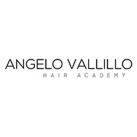 Angelo Vallillo Academy